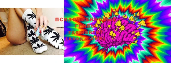 прущие крисы Алексеевка